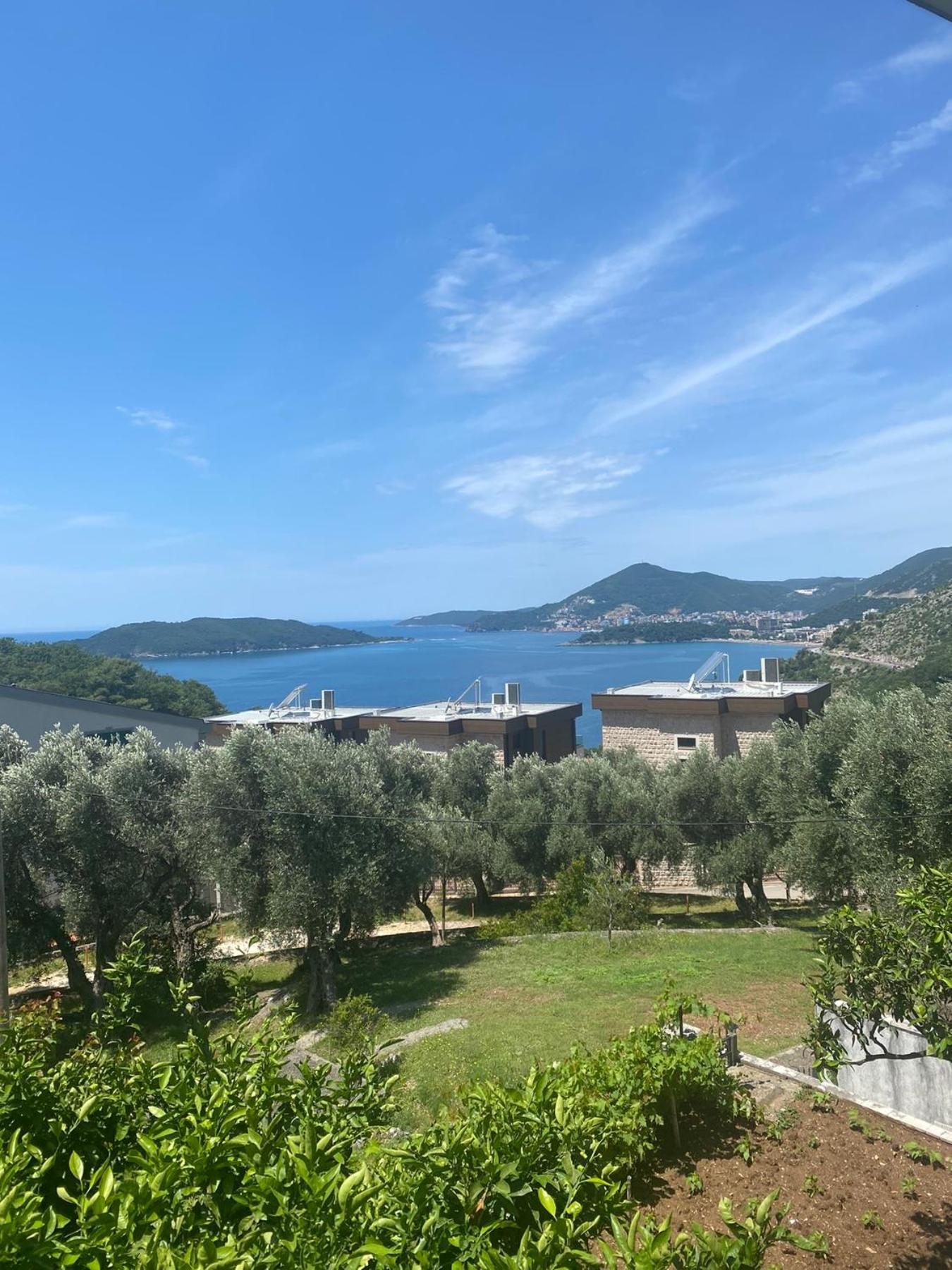 Apartment Olive 1 Przno (Budva)